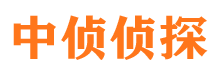 达日侦探